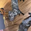 jonny gates - @jonny.gates8 - TikTok