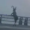 Jonny - @jonny.george - TikTok