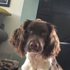 jonny goode - @simp...jxnny - TikTok