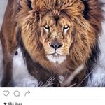 Human Highlight - @jonny.handsome - Instagram