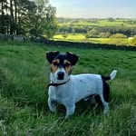 Jonny Harrison - @jonnyharrison7 - Instagram