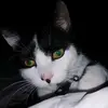 Jonny Holt - @user29482096 - TikTok