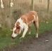 Jonny Hughes - Facebook