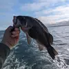 jonnyknapp - @jonnyknapp - TikTok