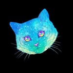 Jonny Yasuda - @jonny_kotik - Instagram