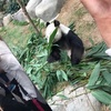 Jonny Lau - @31307065593 - TikTok