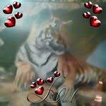 Jonny Law - @jonny.law.5437 - Instagram