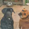 jonnylee - @jonnylee230707 - TikTok