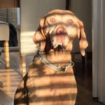 Jonny Powell - @jonnypowell77 - Instagram