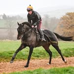 Jonny Taylor - @jonny.jockey - Instagram