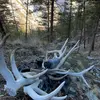 Jonny Wilson - @jonny.wilson96 - TikTok