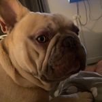 Jon Rayner - @jon_rayner - Instagram