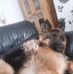 Jono Rayner - Facebook