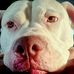 Jono Young - Facebook