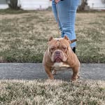 Jonte Jackson - @ownlanetae - Instagram
