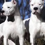Jony Ortiz - @jonathanortiz4029 - Instagram