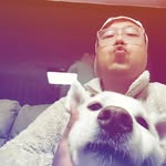 냥냥렌트카 - @joojin4405 - Instagram