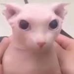 Joojins - @joojins.joojins.joojins - Instagram