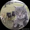 Jootington - @jootington - TikTok