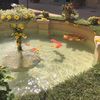 Isla_05 - @hanjooeun - TikTok