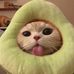 Joohan Kim - Facebook