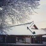 jooheejin - @jooheejin_271c - Instagram
