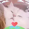 Joohee  Jung - @2182755625 - TikTok