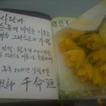 JooheeJung - @jooheejung9235 - Instagram