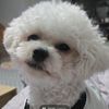 Joon Cha - @joon.cha - TikTok