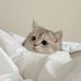 Joon Cha - Facebook