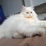 Joon Moon - @baba_hussain480 - Instagram