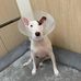 Joon Yu Moon - Facebook