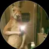 Jordan Acuña - @jordan.acua7 - TikTok