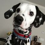 jordan Allgood - @thagreatjordan23 - Instagram