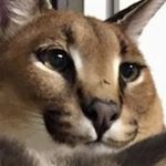 Jordan Armour - @armour2818 - Instagram