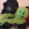 Jordan and Ryan - @jordanthomasatwell - TikTok