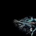Jordan Atwell - Facebook