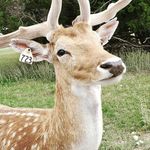 Jordan Bancroft - @thatshortkid017 - Instagram