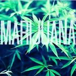 jordan banton - @rasta_jordz - Instagram