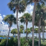Jordan Baros - @jordanbaros75 - Instagram