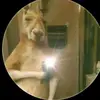 jordan benavides - @jordan.benavides97 - TikTok