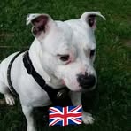 Jordon Biddle - Facebook