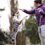 Jordan Biggs - @runwildagility - Instagram