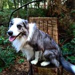 jordanbosmans - @jordanbosmans9462 - Instagram