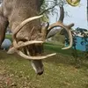 jordanbrawley22 - @jordanbrawley22 - TikTok