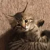 jordan.briscoe2012 - @jordan.briscoe201 - TikTok