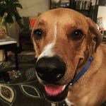 Jordan Callaway - @callaway8517 - Instagram