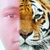 Jordan Chadwick - @innocentjackson430gmai - TikTok