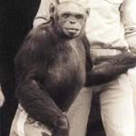 Jordan James Cleary - @the_humanzee - Instagram