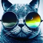 Jordan Coates - @coates6849 - Instagram